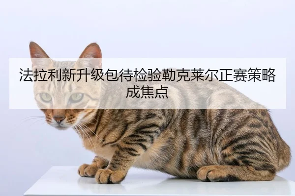 法拉利新升级包待检验勒克莱尔正赛策略成焦点